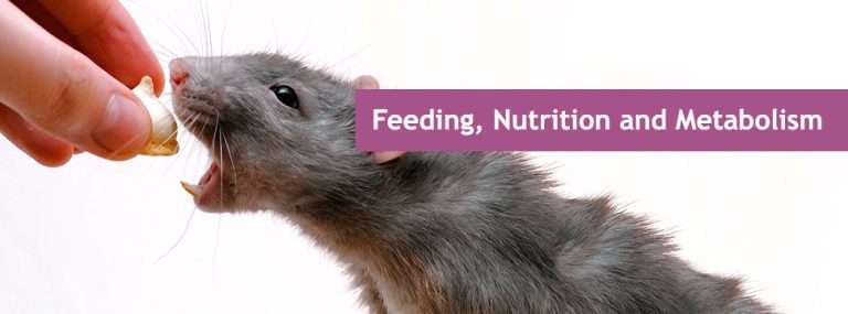 Feeding, Nutrition and Metabolism - Medipol Sabita