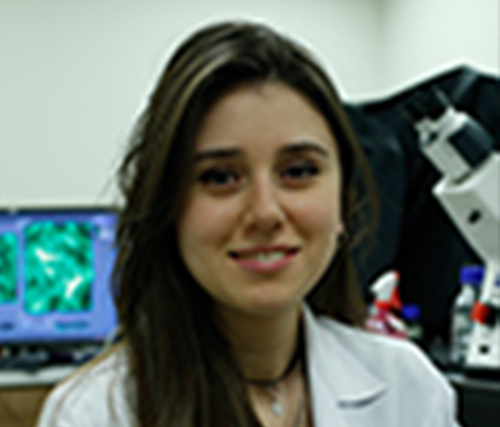 gfiliz-1